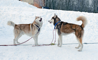 Similar image 11478761