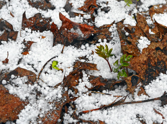 Similar image 11479624