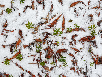 Similar image 11479625