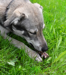 Similar image 11479627