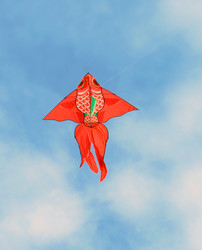 Similar image 11479630