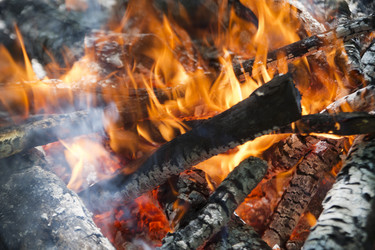 Similar image 11490159