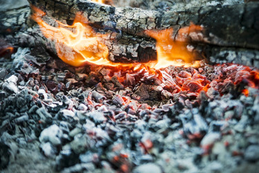 Similar image 11490162