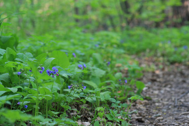 Similar image 11479674