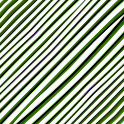 Similar image 11498081