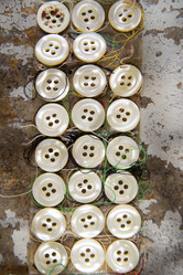 Similar image 11490354