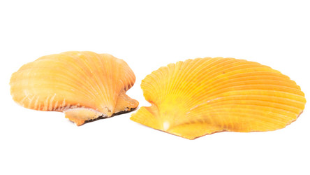 Similar image 11480011