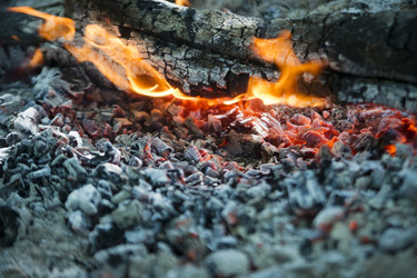 Similar image 11482592