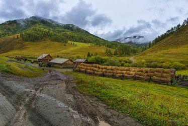 Similar image 11479232