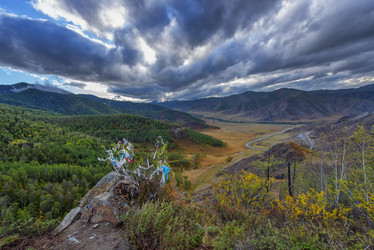 Similar image 11479253