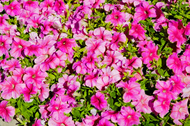 Similar image 11479317