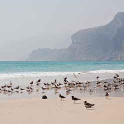 Similar image 11479319