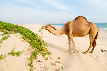 Similar image 11479325