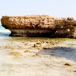 Similar image 11479305