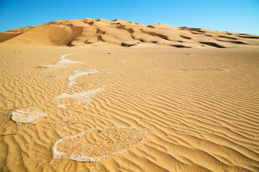 Similar image 11479306