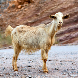 Similar image 11479308