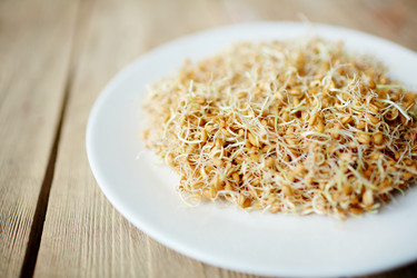 Similar image 11479363