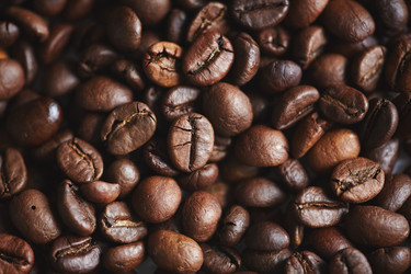 Similar image 11479379