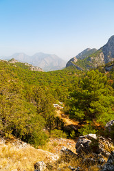 Similar image 11479895