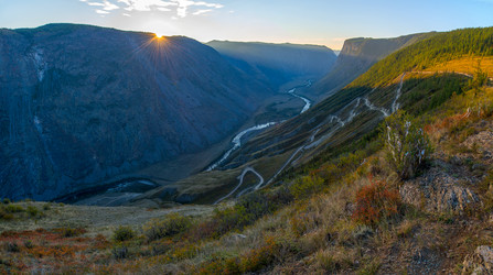 Similar image 11479832