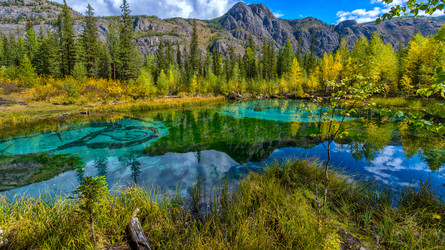 Similar image 11479834