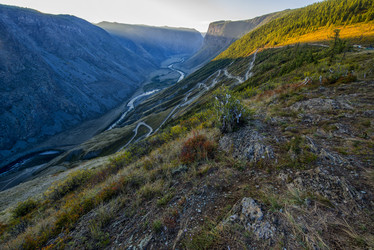 Similar image 11479838