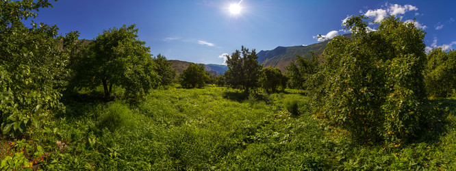 Similar image 11479840