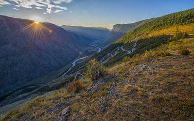 Similar image 11479846