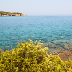 Similar image 11479875