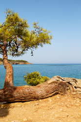 Similar image 11479972