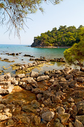 Similar image 11479973