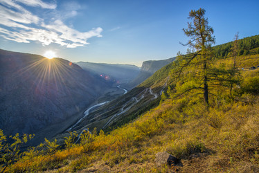 Similar image 11480049