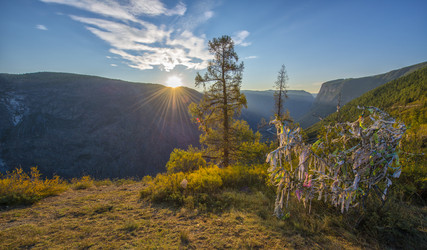 Similar image 11480012