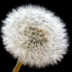 Similar image 11481009