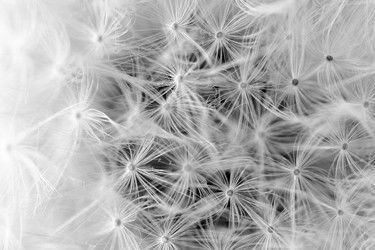 Similar image 11481012