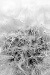 Similar image 11481013