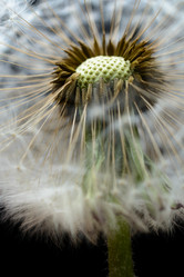 Similar image 11481014