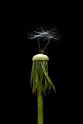 Similar image 11481015