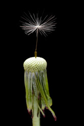 Similar image 11481016