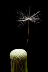 Similar image 11481018