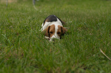 Similar image 11481192