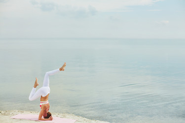 Similar image 11481038