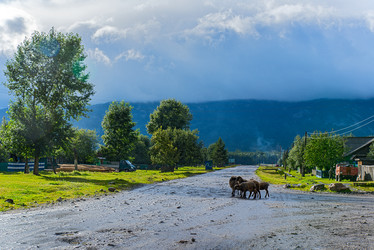 Similar image 11481732