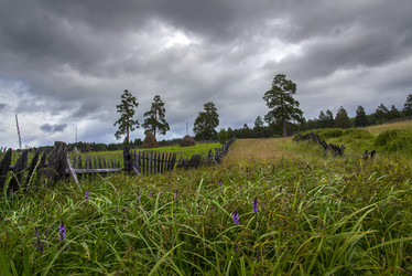 Similar image 11481753