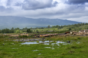 Similar image 11481739