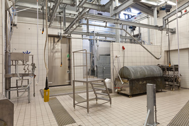 Similar image 11481680