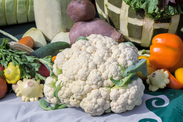 Similar image 11481904