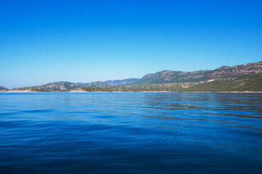 Similar image 11491473