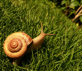 Similar image 11482076