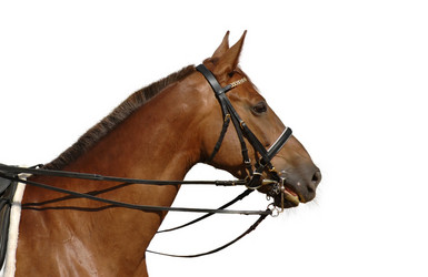 Similar image 11482113